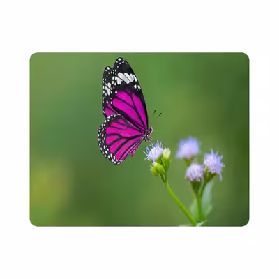 ماوس پد طرح گل و پروانه مدل T8095