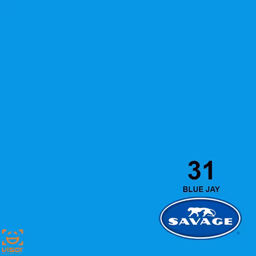 فون کاغذی آبی شاد Savage Blue Jay 31