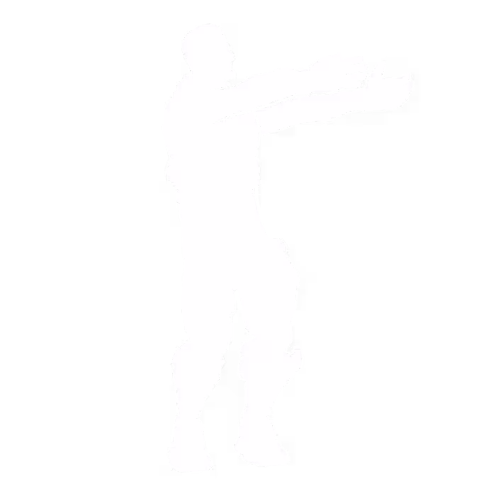 Ninja Style