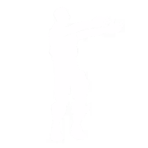 Ninja Style