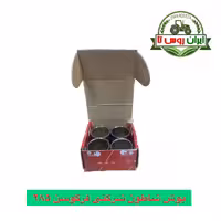 بوش شاطون شرکتی فرگوسن 285 - ایران روس تا