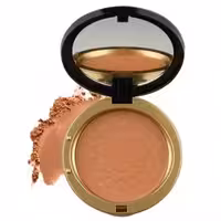 رژ گونه پودری روبی سان شماره 251