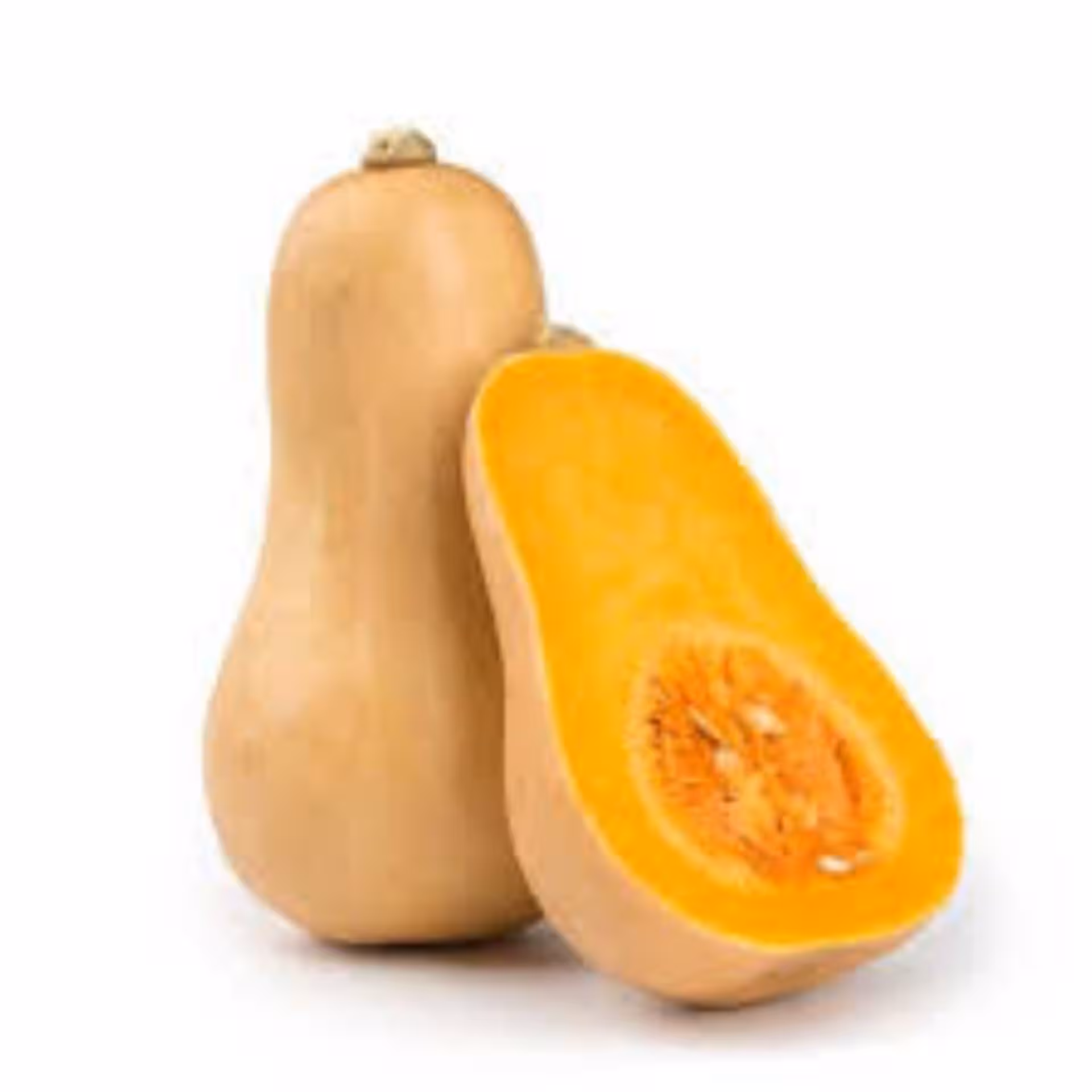 بذر کدو  رشتی