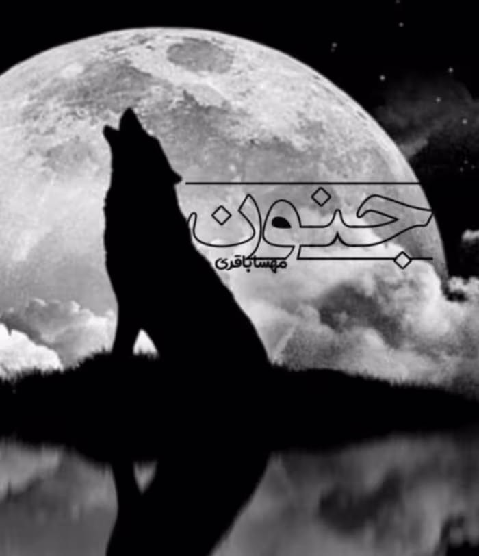 رمان جنون pdf