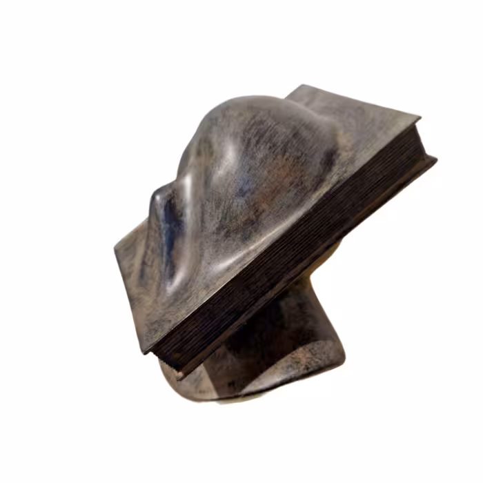 تندیس کتاب و چهره