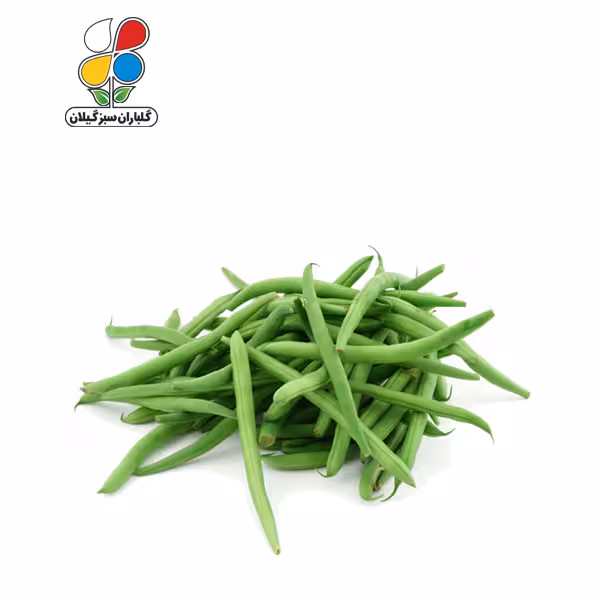 بذر لوبیا سبز بسته بندی بزرگ