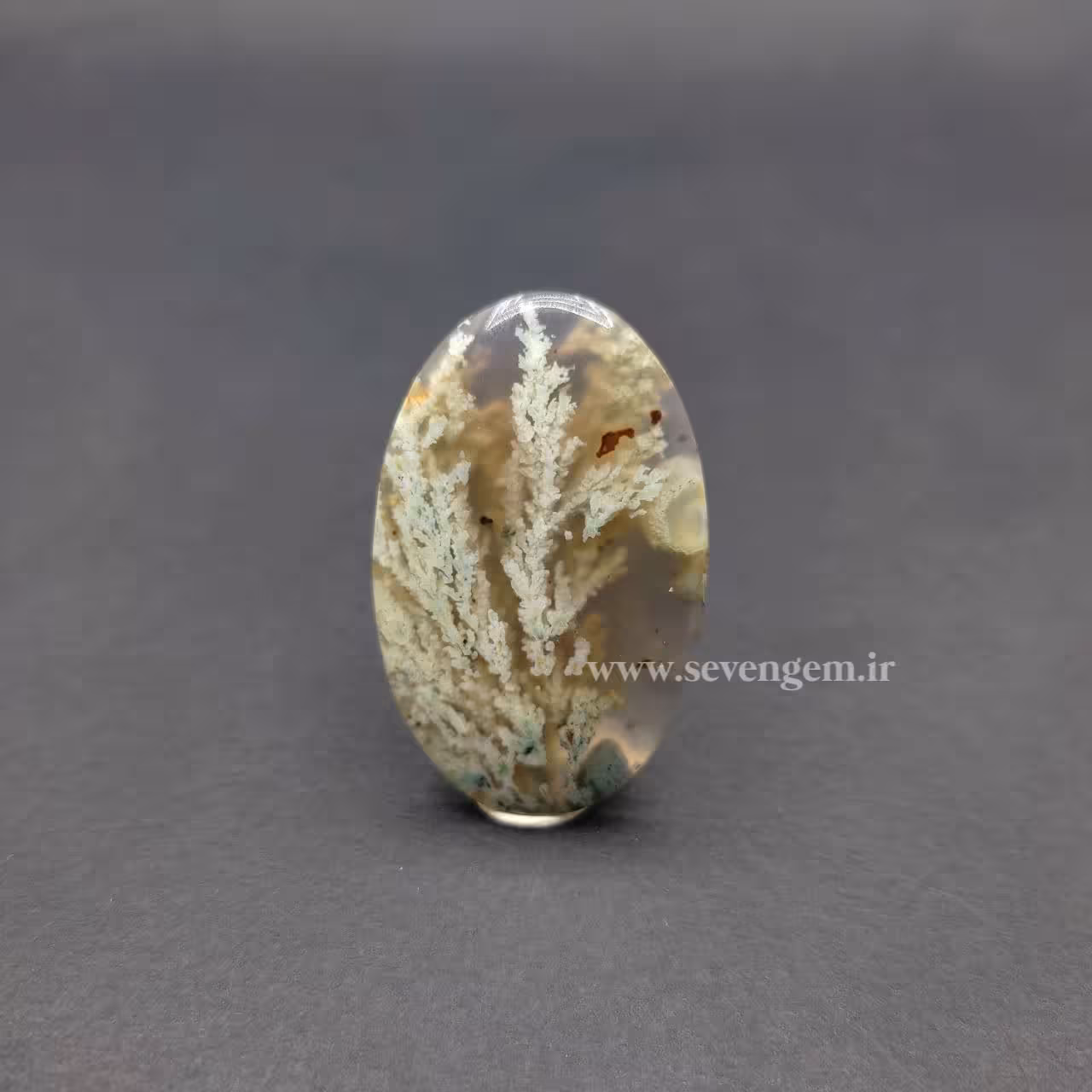 نگین عقیق شجر خراسان (کد731)