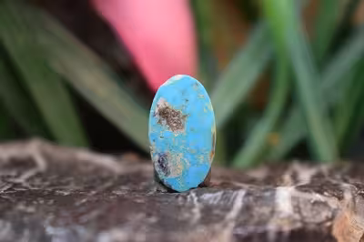 فیروزه شجری نیشابور