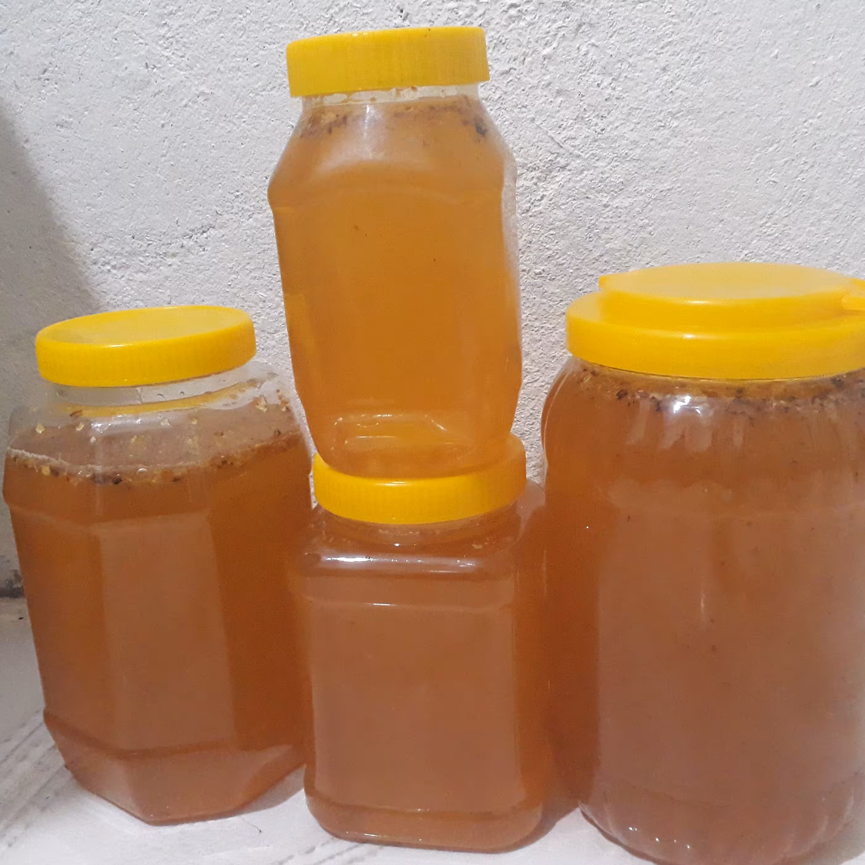 عسل یک کیلویی گون آویشن