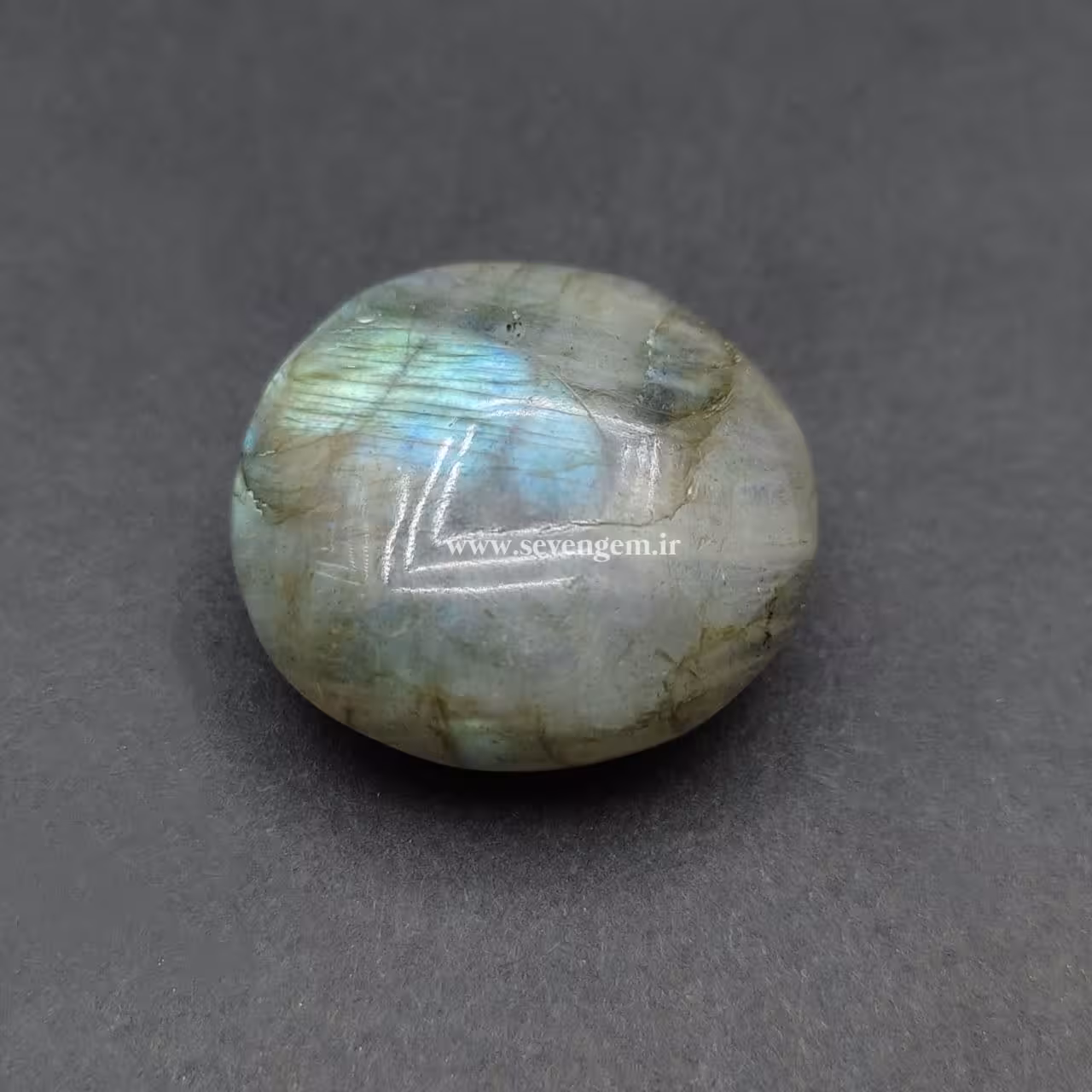 تامبل لابرادوریت ماداگاسکار (کدA669)