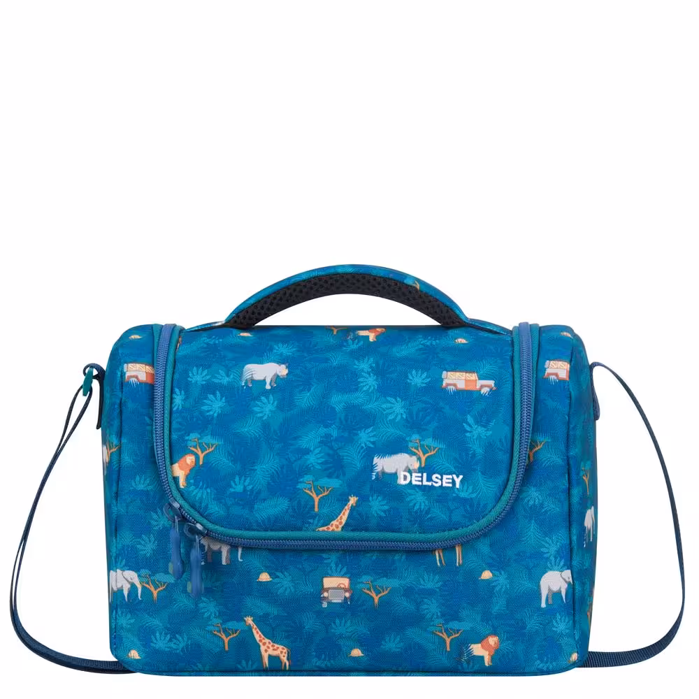 کیف غذا مدرسه ای دلسی