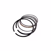 رینگ پیستون کیا کارنز