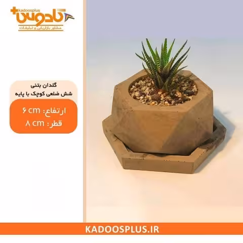 گلدان بتنی شش ضلعی کوچک