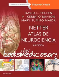 خرید و دانلود نسخه کامل کتاب Netter - Atlas de Neurociencia