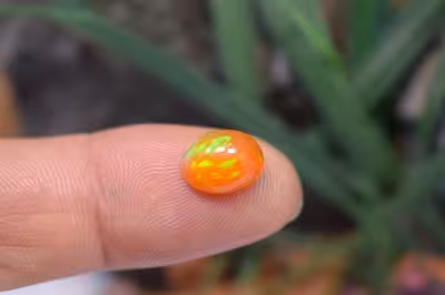 اپال نارنجی