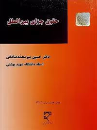 حقوق جزای بین الملل محمد صادقی بهشتی میزان