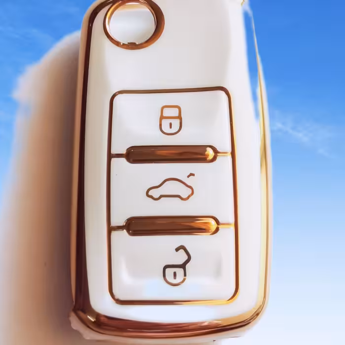 جاسوئیچی لاکچری خودرو.