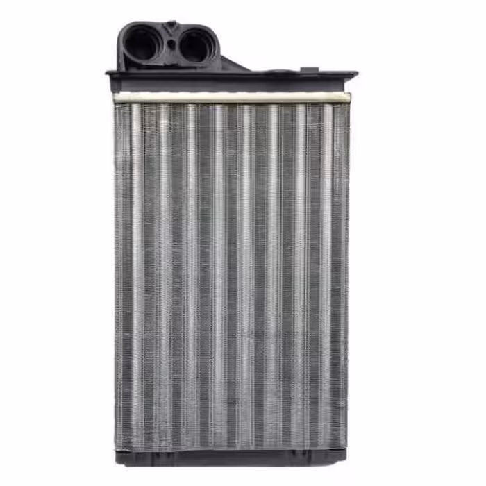 رادیاتور بخاری کوشش مناسب سمند خاردار