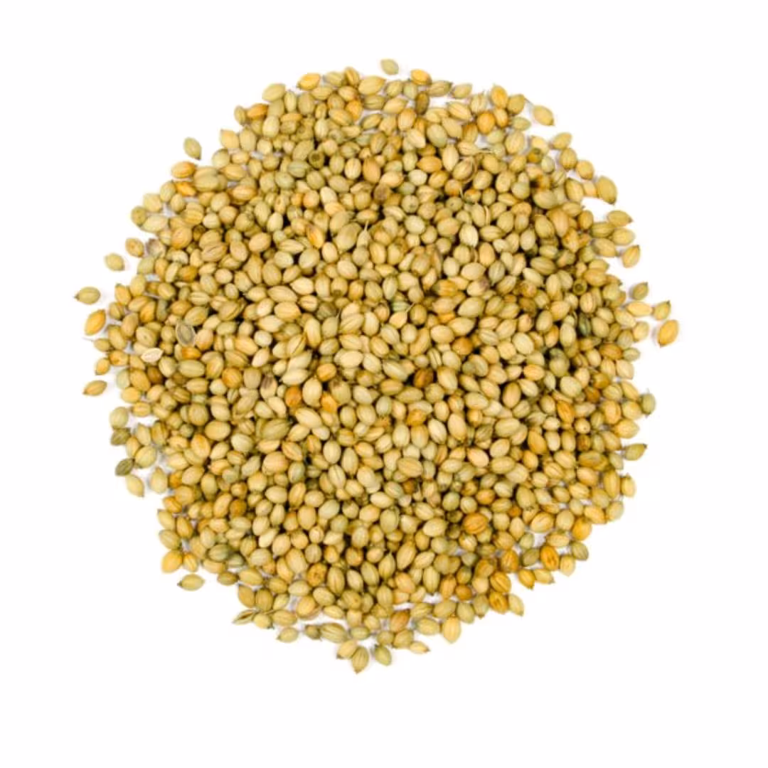 تخم گشنیز 100 گرم