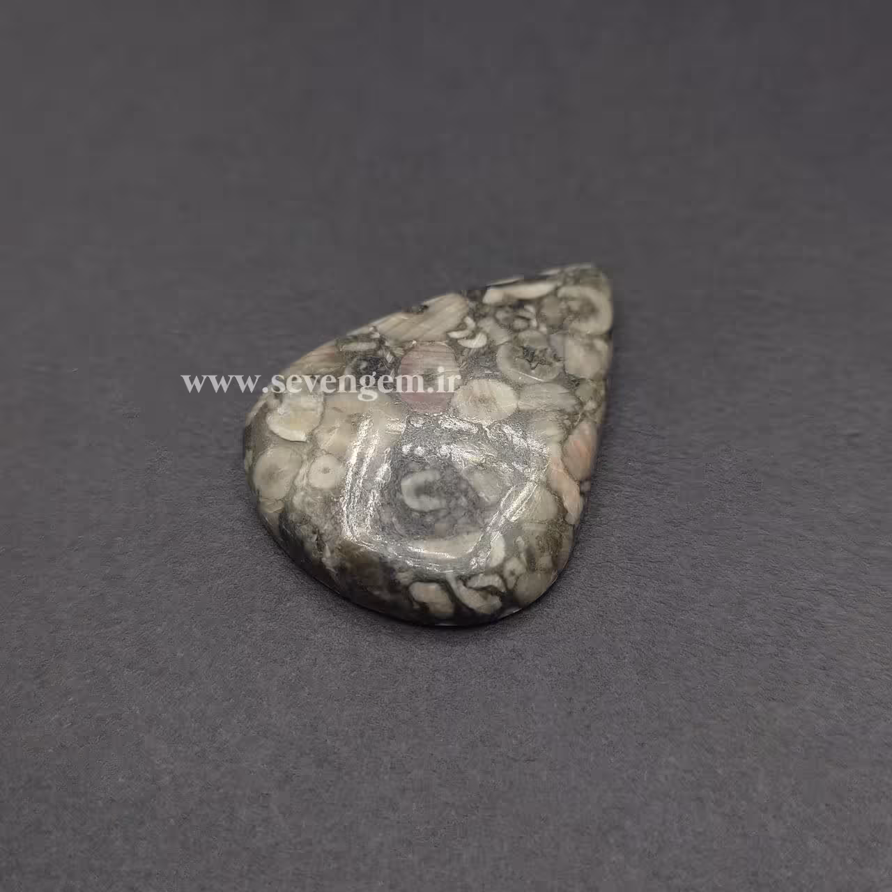 نگین فسیل کرینوئید (کد142)