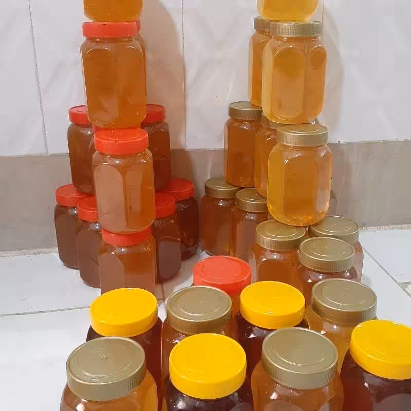 عسل کوهی 