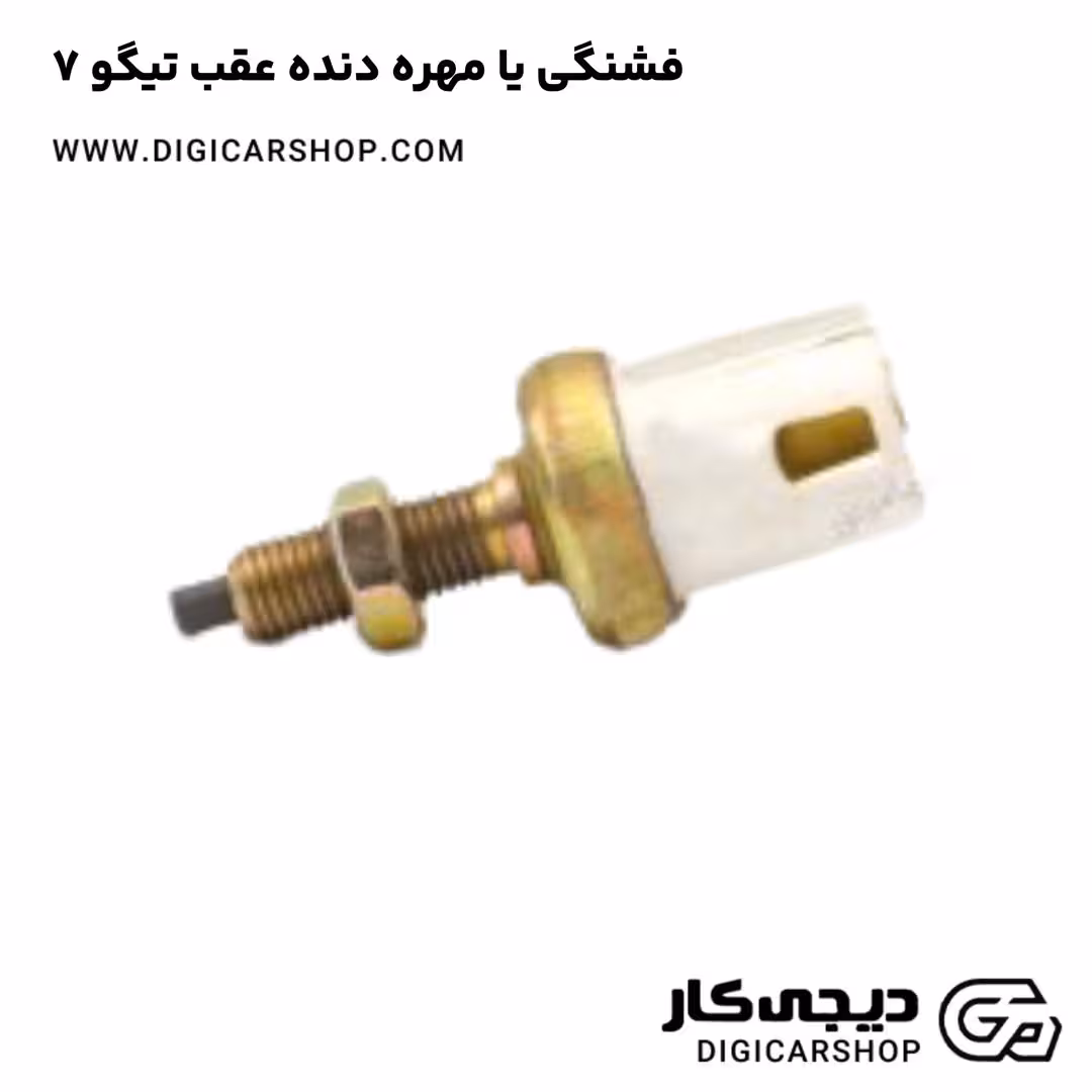 فشنگی یا مهره دنده عقب تیگو 7