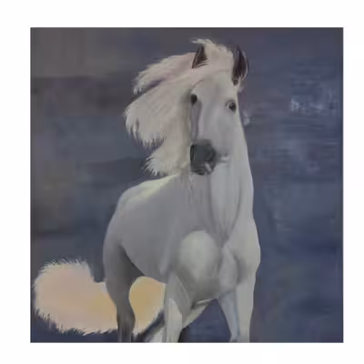 تابلو نقاشی رنگ روغن مدل سپیده کد ekt-32