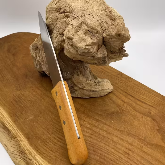 چاقوی آشپزخانه پناهنده مدل سلاخی