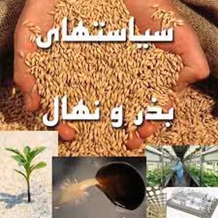 سند امنیت بخش بذر