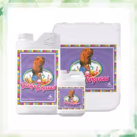 کود تیستی ترپنس ادونس (tasty terpenes)