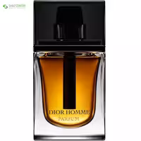 پرفیوم مردانه دیور Dior Homme حجم 100میل