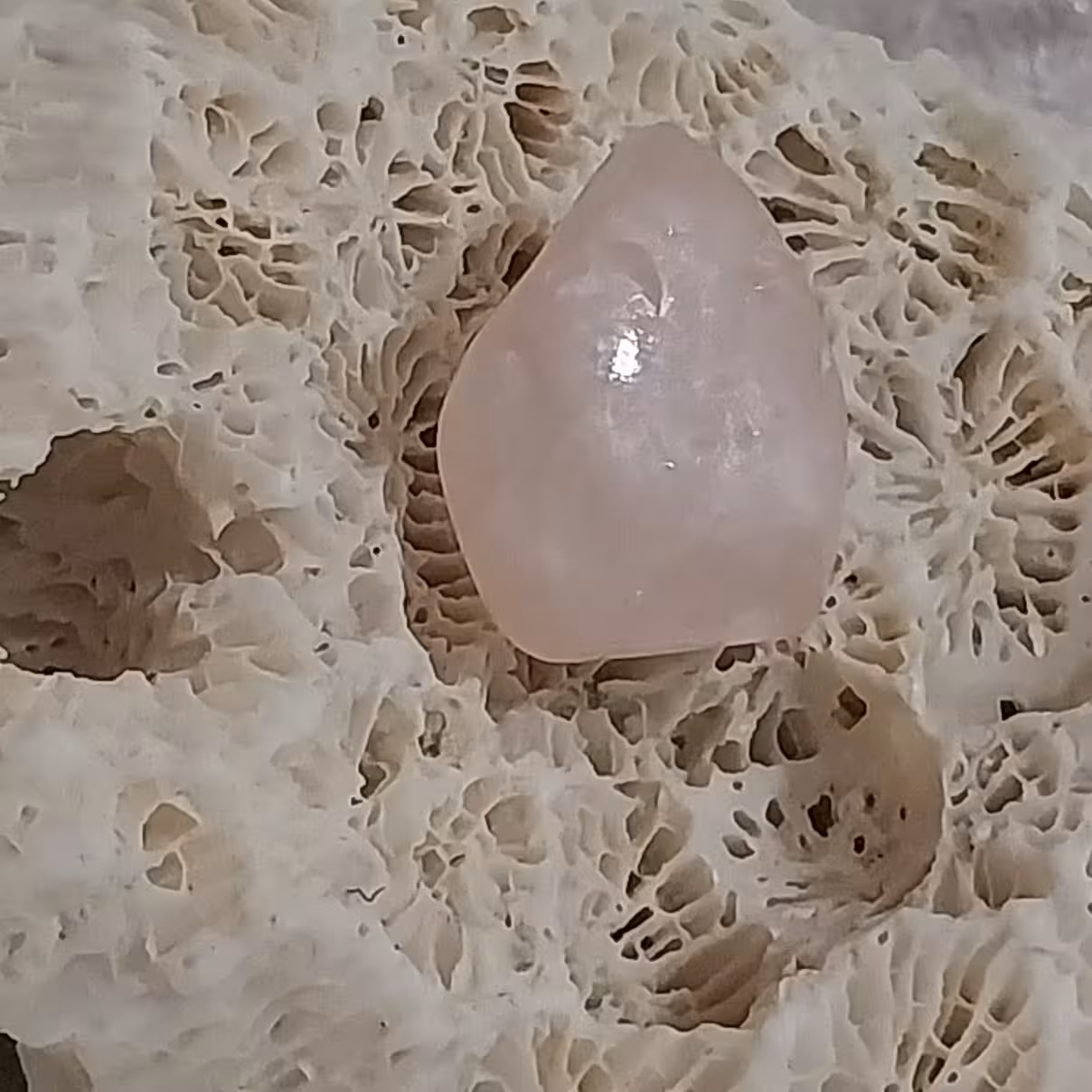 حبه رز کوارتز صورتی اصل پالایش و جلاخورده