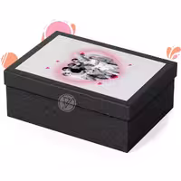 باکس Dark بی تی اس