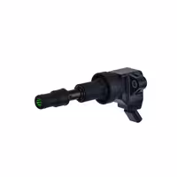 کوئل کیا سونت