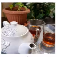 چایی صاف کن چتری کد 1354