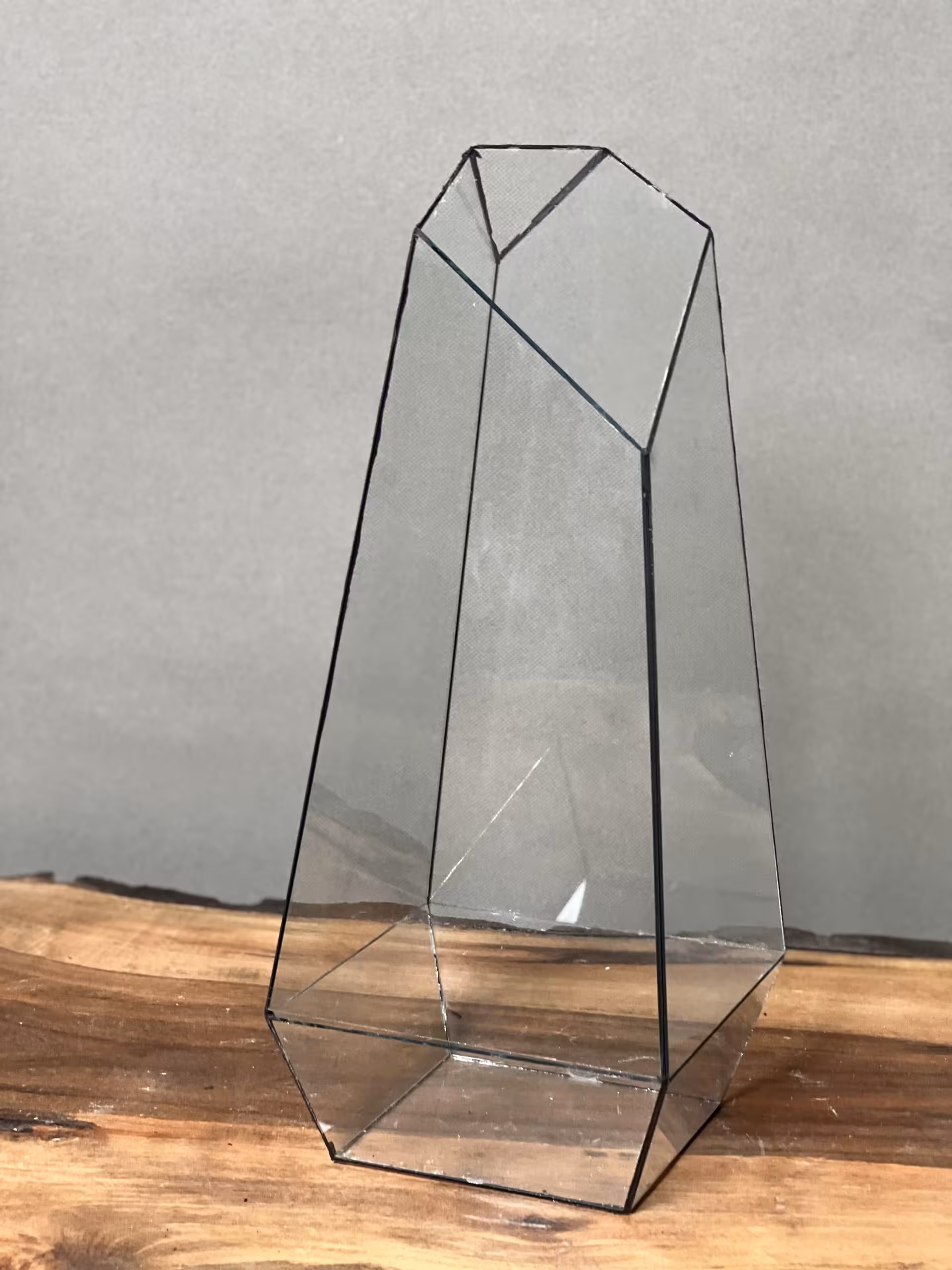شیشه تراریوم چند ضلعی طرح طبیعت 35 Cm - فروشگاه آنلاین پلنت لند