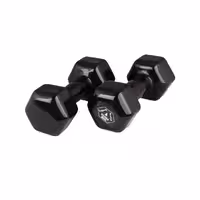 دمبل وزنه پویا مدل روکش دار وزن 10 کیلوگرم بسته 2 عددی