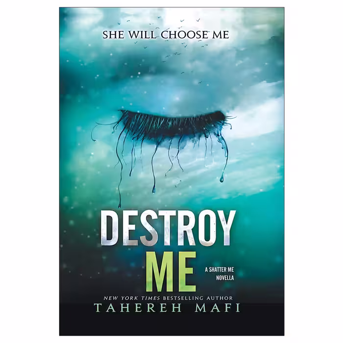 Destroy Me رمان انگلیسی