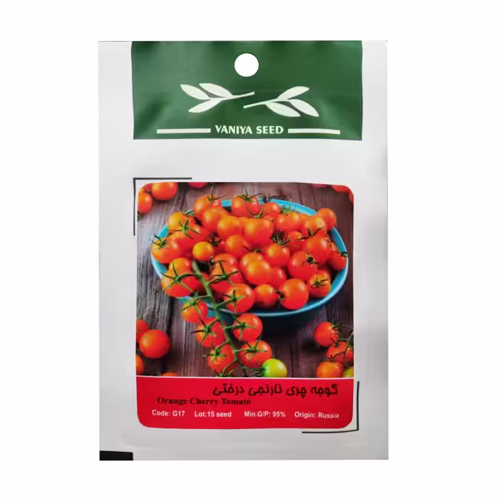 بذر گوجه چری نارنجی درختی وانیا سید