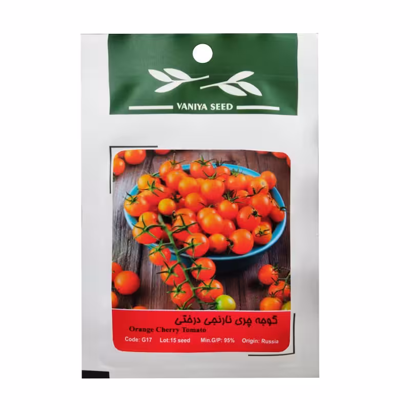 بذر گوجه چری نارنجی درختی وانیا سید