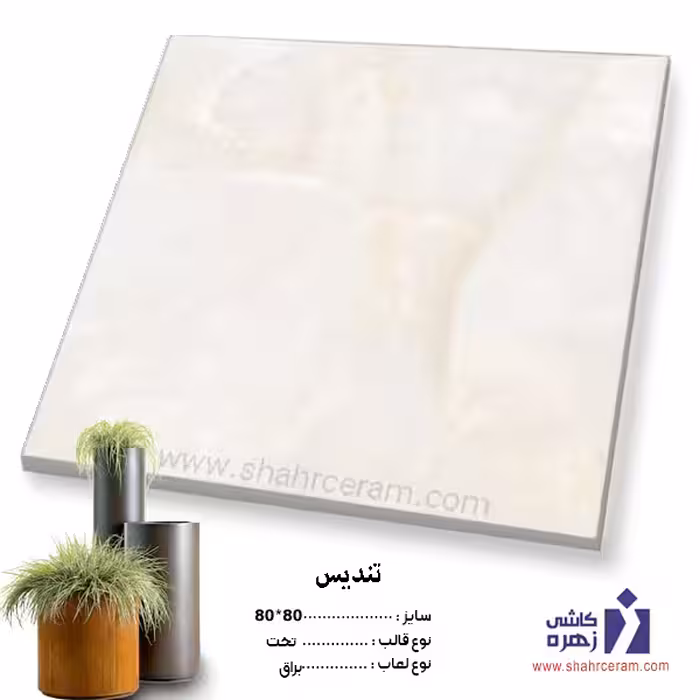 سرامیک تندیس 80*80 کاشی زهره