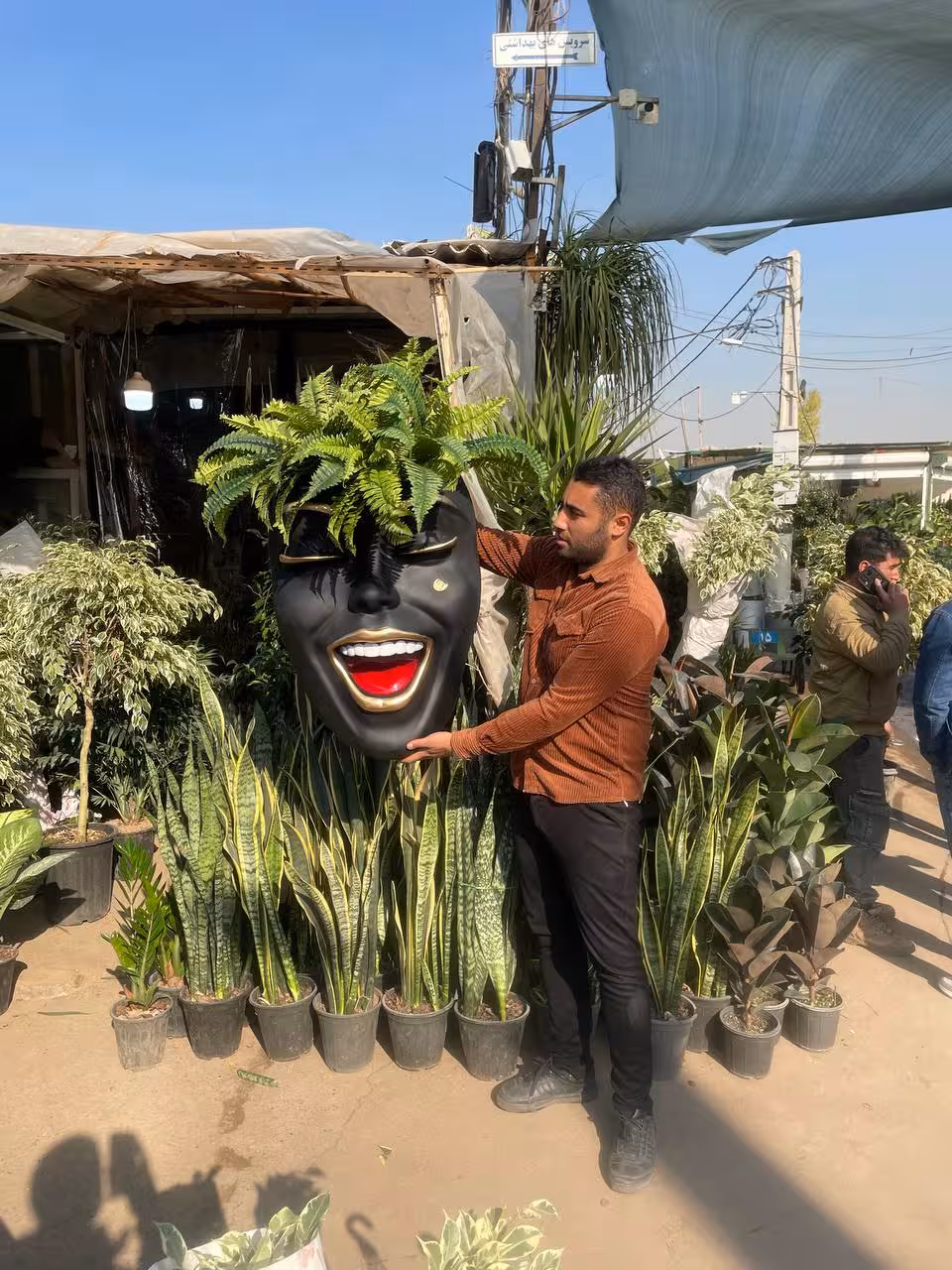 گلدان لبخند دیواری(مشکی مات) با سرخس مصنوعی وارداتی