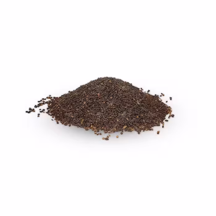بذر سبزی ریحان بنفش
