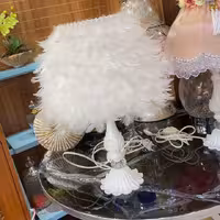 آباژور رومیزی مدل پر     کیفیت عالی وارداتی 
ارسال رایگان