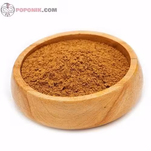 ادویه لبنانی صد گرمی درجه یک