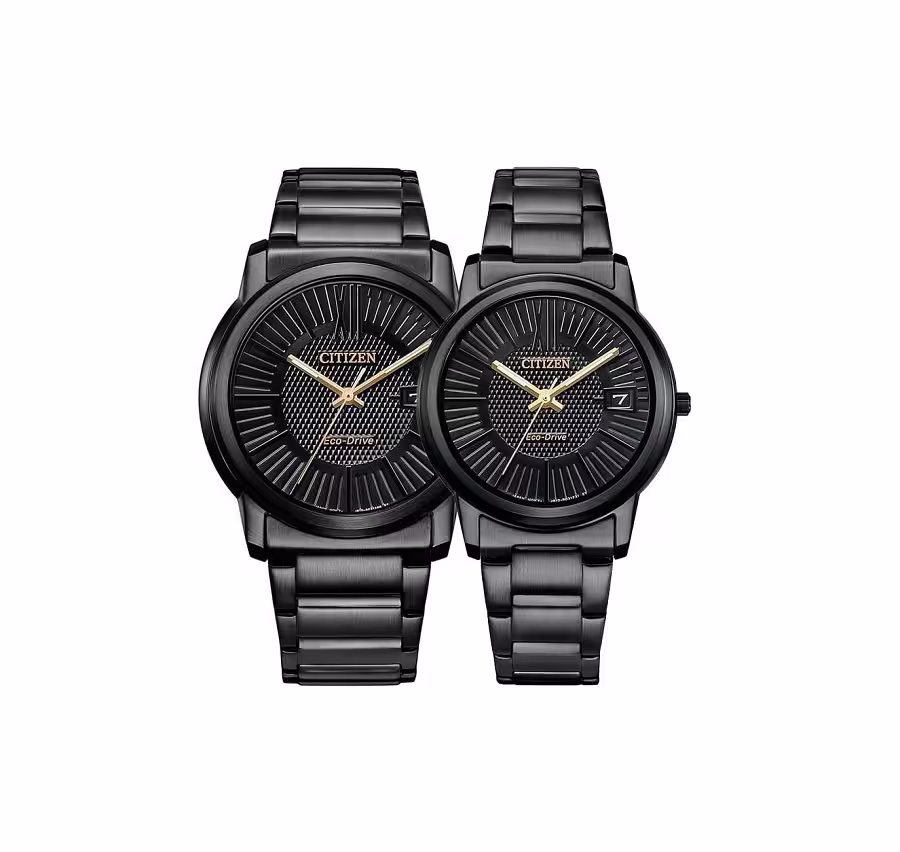 ساعت مچی ست سیتیزن مدل AW1217-83E و FE6017-85E