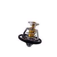 ترموستات جیلی شاسی امگرند X7