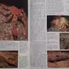 كتاب Seas and Islands اثر جمعي از نويسندگان انتشارات The Living Countryside