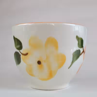 فنجان چینی طرح گل مجموعه 6 عددی