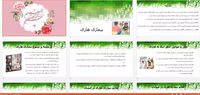 دانلود جذاب ترین پاورپوینت بیماری هاری